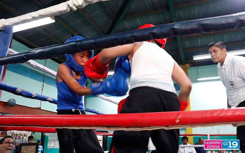 boxeo